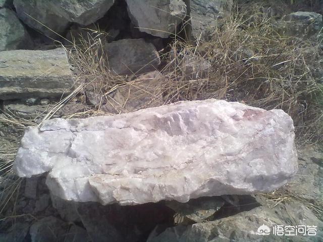 暗物质是由什么组成的？真空有另外一种能量吗？有什么科学依据吗？492 / 作者:NEkYTdbZ / 帖子ID:42173