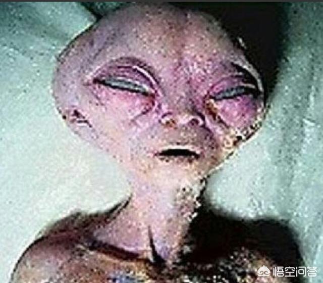 为什么我们发现不了外星人？685 / 作者:雨云儿 / 帖子ID:42174