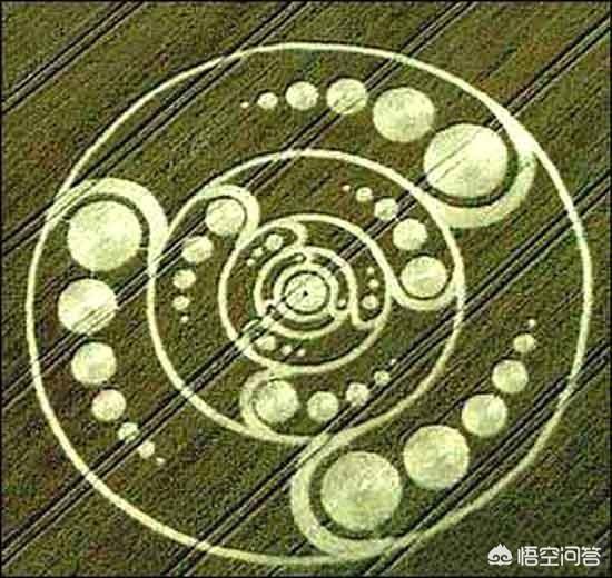 麦田怪圈会是外星人的飞碟设计图吗？978 / 作者:wangtao123 / 帖子ID:42194