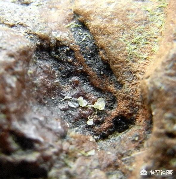 可以通过黑洞到另一个宇宙吗？277 / 作者:yehangdy / 帖子ID:42214