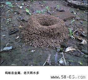 宇宙是无限大吗？204 / 作者:yiyee123 / 帖子ID:42217