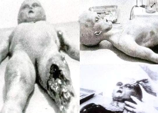 51区：美国政府和外星人的秘密基地！204 / 作者:LLL_111 / 帖子ID:42229