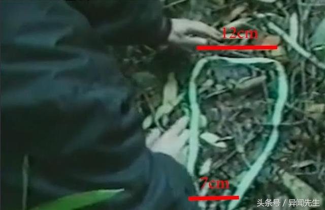 神农架野人神秘事件！是子虚乌有还是确有此事502 / 作者:wyo315 / 帖子ID:42258