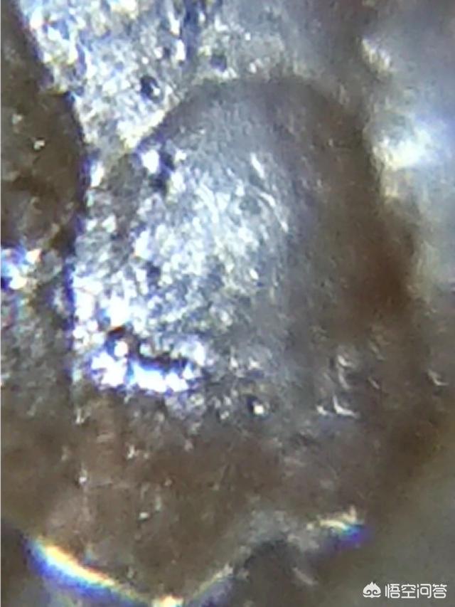 外星文明是不是时刻都在保护着地球和人类？237 / 作者:akmpswv / 帖子ID:42272