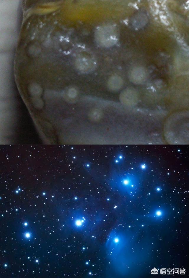 外星文明是不是时刻都在保护着地球和人类？681 / 作者:akmpswv / 帖子ID:42272