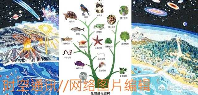 地外生命和文明在哪里 地球生命又从哪里来549 / 作者:jeff963 / 帖子ID:42317