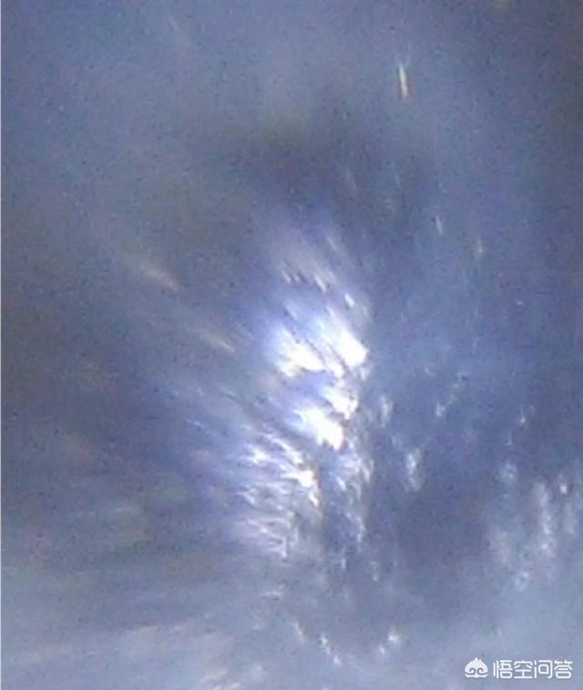 外星人真正的样子到底是什么样的？499 / 作者:目师 / 帖子ID:42337