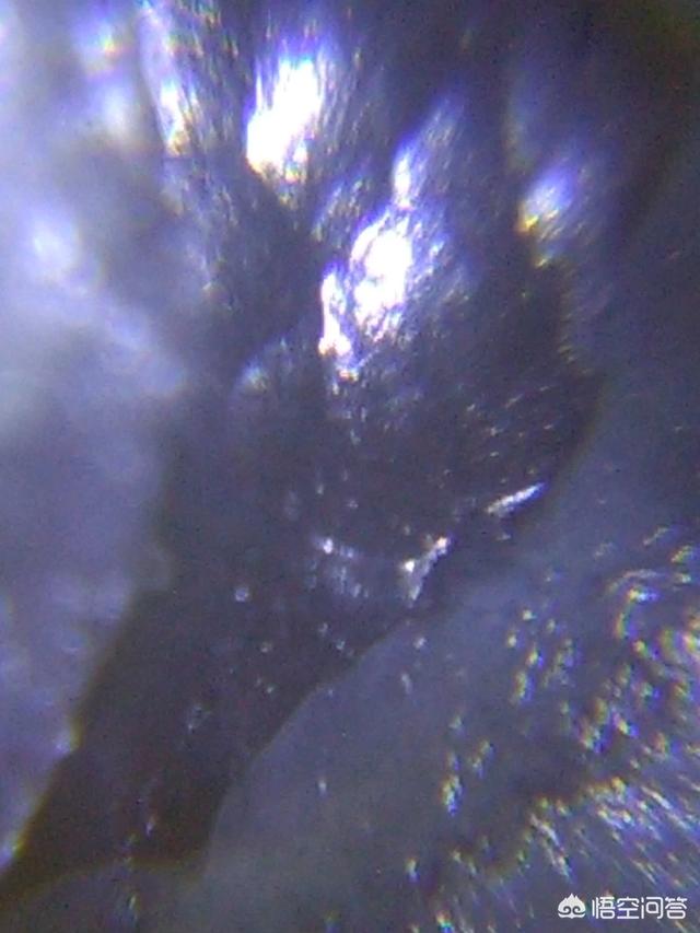中国是在持续研究UFO吗？511 / 作者:jackol007 / 帖子ID:42390
