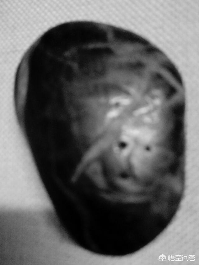 宇宙有灵魂吗？471 / 作者:wlQdodbj / 帖子ID:42394