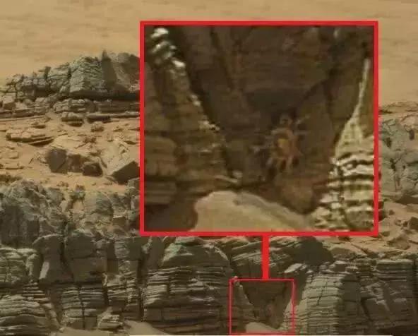 火星文明的证据?外国人真会忽悠120 / 作者:可梦吧 / 帖子ID:42524