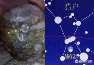 人类是不是地外生命？130 / 作者:wuqunce / 帖子ID:42539