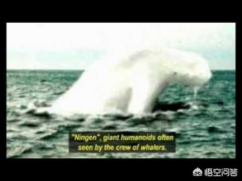 当年科学家发现的南极人，真的是外星人吗？还是什么其他的物种？514 / 作者:ASUKI / 帖子ID:42543