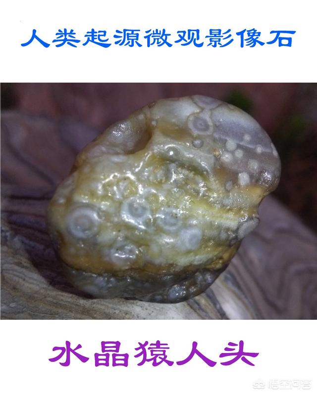 到底有没有外星人？383 / 作者:nara0707 / 帖子ID:42590