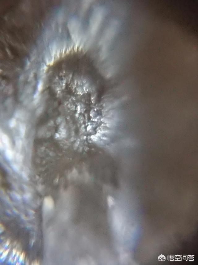 有人说有些人总在鼓吹外星人的存在，对此你怎么看？578 / 作者:fvhPHALo / 帖子ID:42619