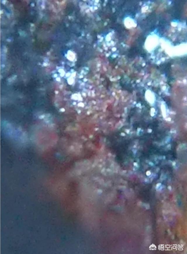 有人说有些人总在鼓吹外星人的存在，对此你怎么看？786 / 作者:fvhPHALo / 帖子ID:42619
