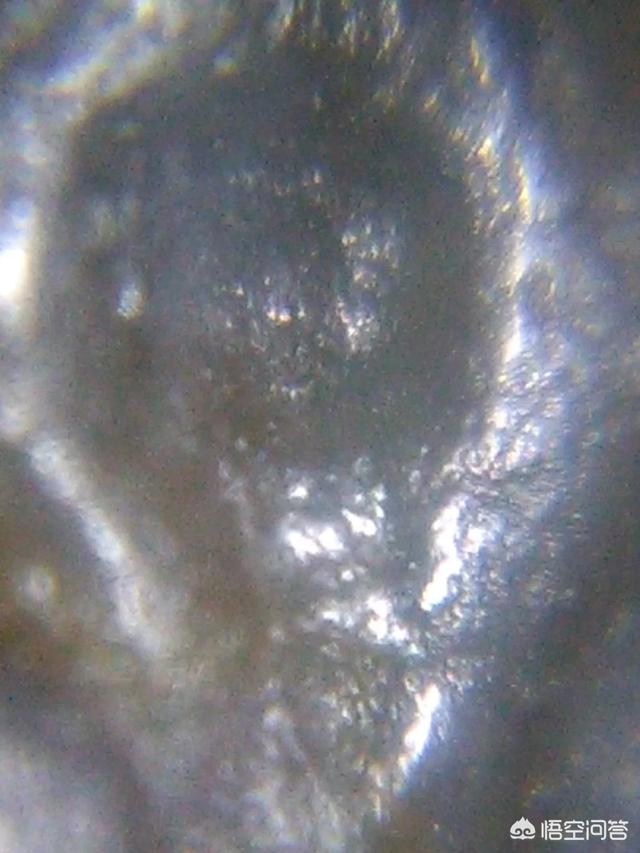 有人说有些人总在鼓吹外星人的存在，对此你怎么看？495 / 作者:fvhPHALo / 帖子ID:42619