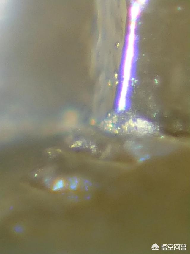 有人说有些人总在鼓吹外星人的存在，对此你怎么看？338 / 作者:fvhPHALo / 帖子ID:42619