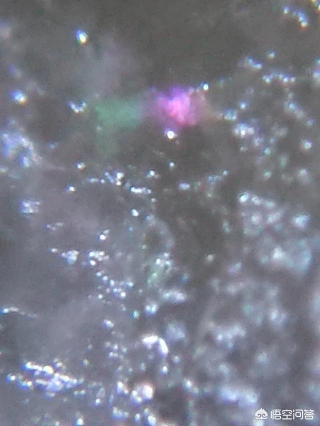 有人说有些人总在鼓吹外星人的存在，对此你怎么看？627 / 作者:fvhPHALo / 帖子ID:42619