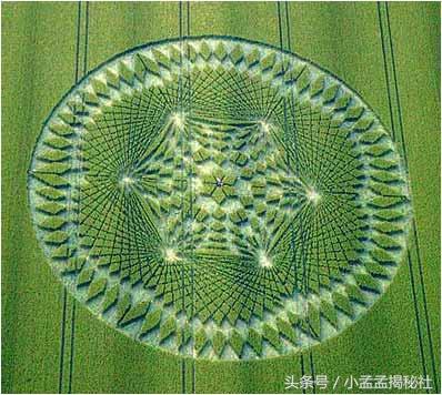 麦田怪圈是怎么形成的？人为、外星人还是大自然的力量71 / 作者:yPfiXGyC / 帖子ID:42658