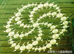 麦田怪圈是怎么形成的？人为、外星人还是大自然的力量153 / 作者:yPfiXGyC / 帖子ID:42658