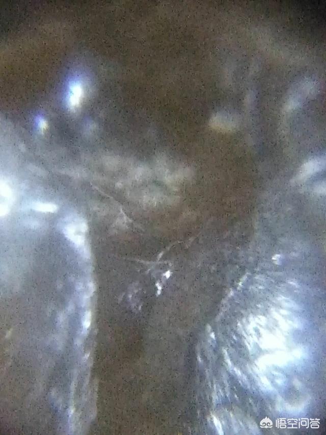 这是世界真的有外星人吗？292 / 作者:522008 / 帖子ID:42696