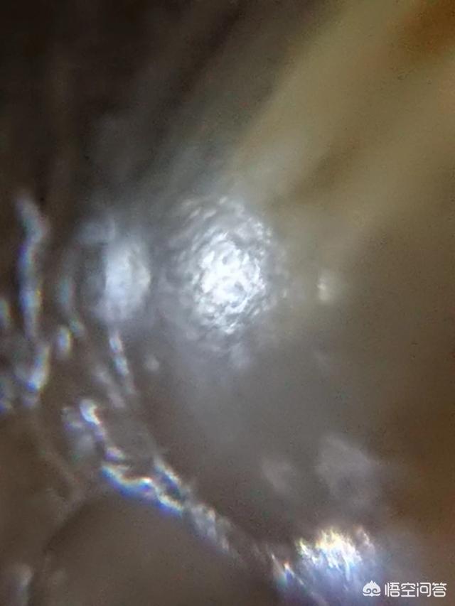 这是世界真的有外星人吗？946 / 作者:522008 / 帖子ID:42696