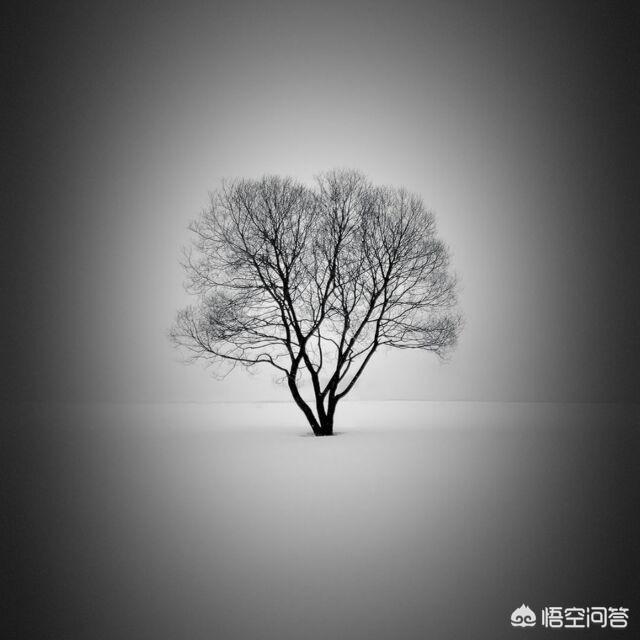 宇宙的一切物质最初是怎么产生的？264 / 作者:wlQdodbj / 帖子ID:42755