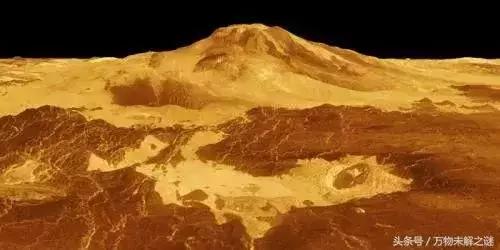 金星上发现外星人？35 / 作者:qfwoshiyu / 帖子ID:42812
