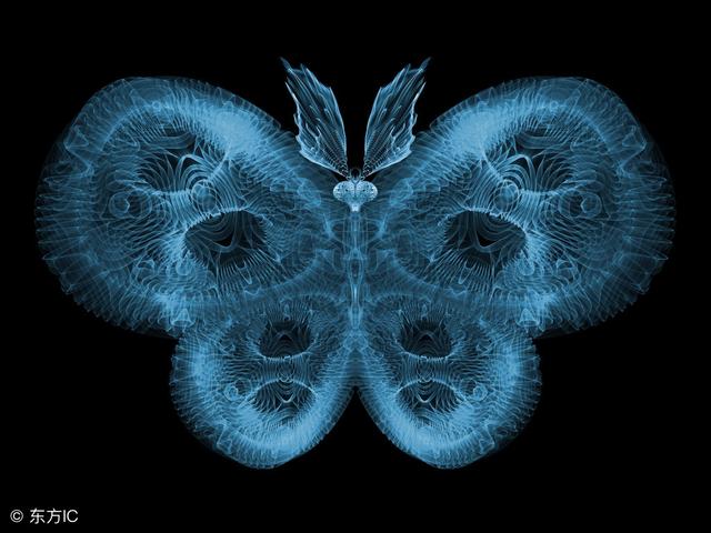 暗物质和暗能量可以构成生命体吗？379 / 作者:dzlqsq / 帖子ID:42823