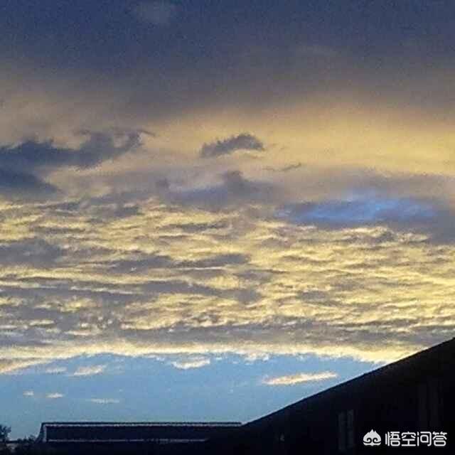宇宙存在的意义是什么？你怎么看？740 / 作者:※鱼鱼╰☆ / 帖子ID:42907