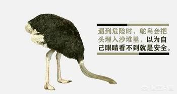当今的“暗物质”和“引力子”与当年的“以太”有哪些不同和相同？293 / 作者:wanggechou / 帖子ID:42939