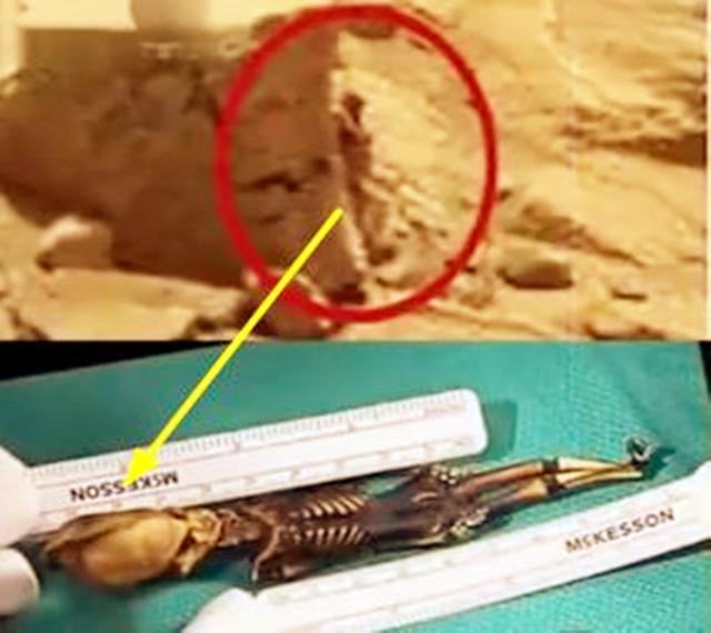 太阳系地外生命这些发现，NASA为啥从来不公开承认？175 / 作者:光头人1 / 帖子ID:42941
