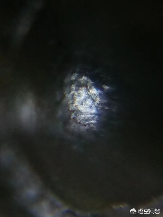 进化论有错误的可能吗？人类有可能是外星人的后代吗？67 / 作者:taobaoip888 / 帖子ID:42961