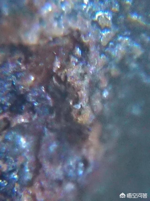 进化论有错误的可能吗？人类有可能是外星人的后代吗？563 / 作者:taobaoip888 / 帖子ID:42961