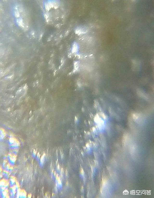 进化论有错误的可能吗？人类有可能是外星人的后代吗？244 / 作者:taobaoip888 / 帖子ID:42961