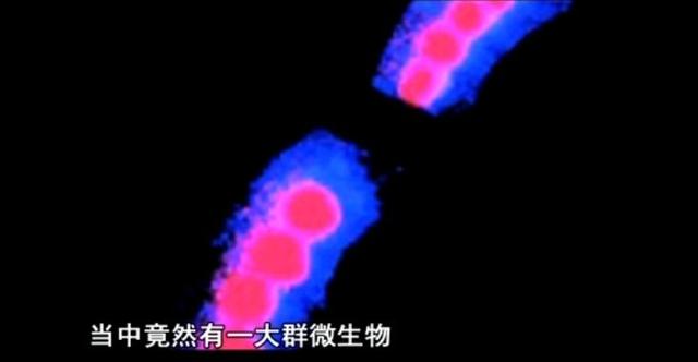 外星人存在吗？“中国天眼”即将开始探索外星人622 / 作者:lkamxmk / 帖子ID:43052