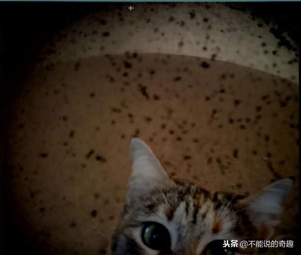 “洞察号”火星回传照片，外星人对着镜头举牌？951 / 作者:m1717 / 帖子ID:43053