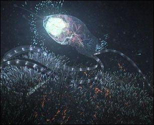 人类为什么按照地球生物的生存条件来寻找外星生物？450 / 作者:传奇私服cdegeq / 帖子ID:43128