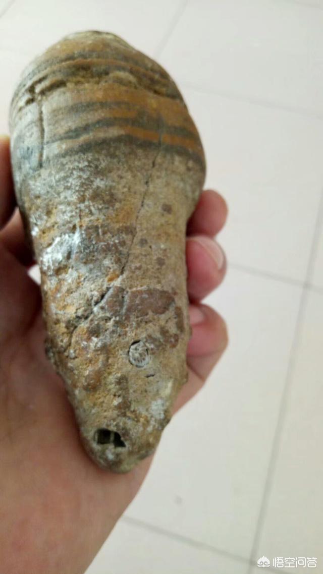 我们的宇宙是唯一的吗？为什么？881 / 作者:Jefflq / 帖子ID:43132