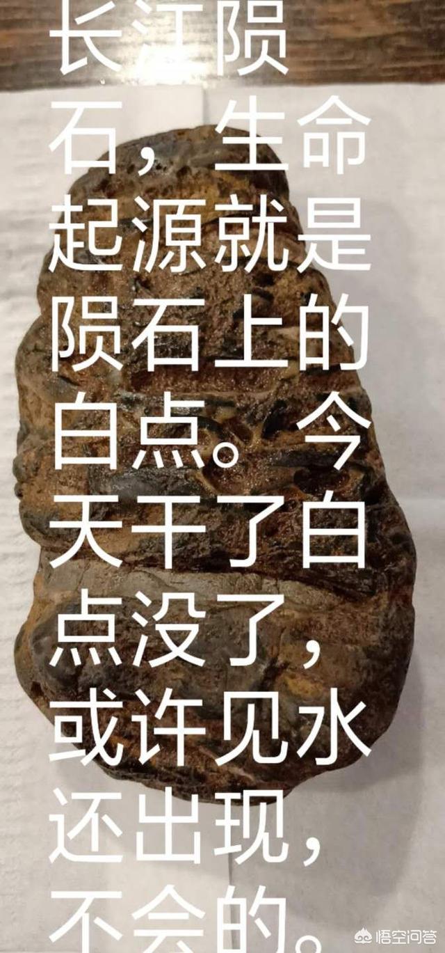 人类会不会本身就是外星人，而不是地球物种进化而来？819 / 作者:傲雪风 / 帖子ID:43198