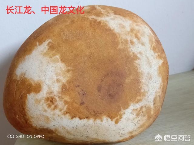 人类会不会本身就是外星人，而不是地球物种进化而来？64 / 作者:傲雪风 / 帖子ID:43198