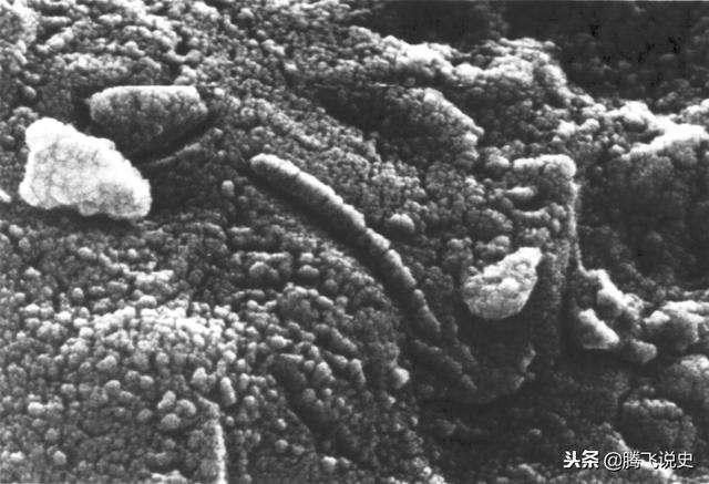 人类文明起源自火星？火星像是被破坏后的地球509 / 作者:YiHYcCgb / 帖子ID:43214
