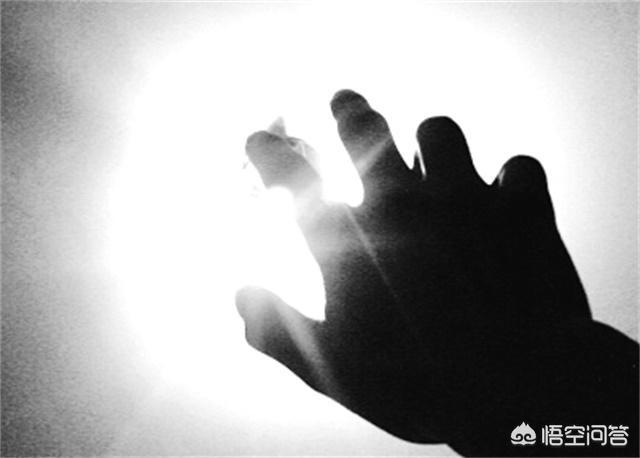 有人说：“面对浩瀚的宇宙，人类就像蝼蚁”，你认为我们到底在追求什么？369 / 作者:圆月小侠 / 帖子ID:43222
