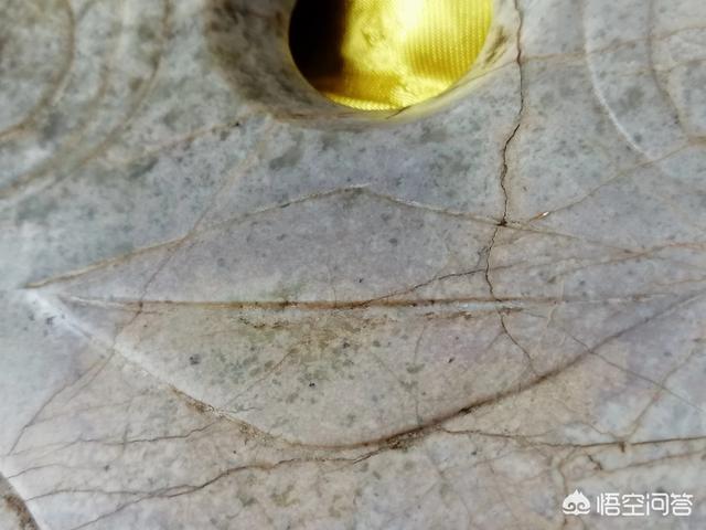 外星人ufo真的存在吗？640 / 作者:nara0707 / 帖子ID:43224