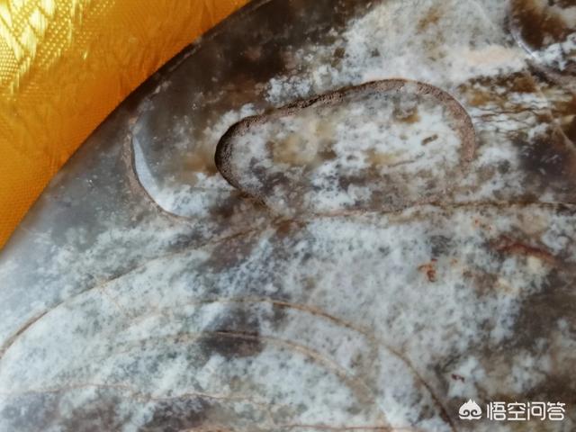 外星人ufo真的存在吗？157 / 作者:nara0707 / 帖子ID:43224