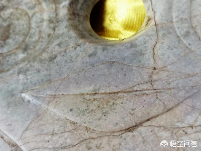 外星人ufo真的存在吗？239 / 作者:nara0707 / 帖子ID:43224