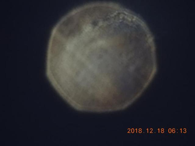 12.18杭州市民拍到UFO照片？其实是金星啦！522 / 作者:BIGBON / 帖子ID:43300