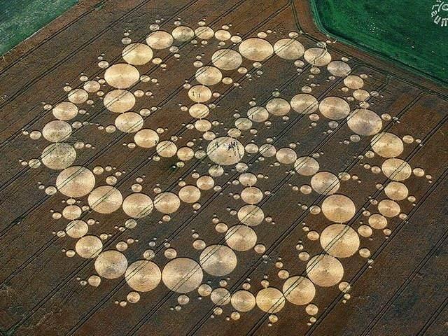 麦田圈图片340 / 作者:pybbs / 帖子ID:43384