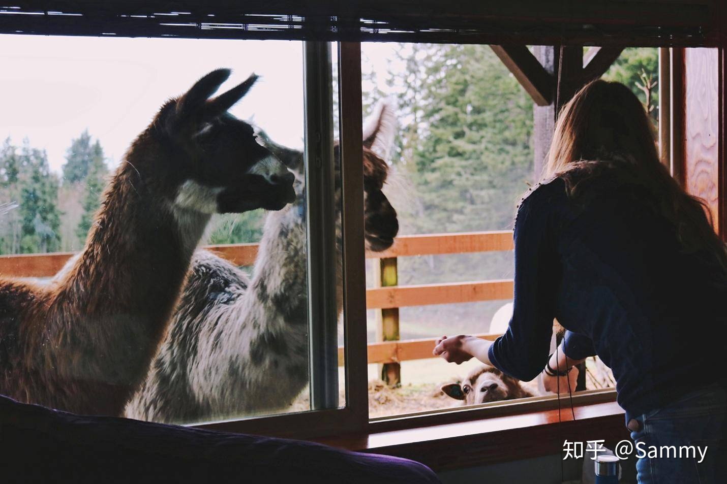 旅行时如何拍出不那么「到此一游」的照片？185 / 作者:gooobooo / 帖子ID:43392