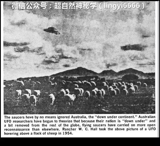 1870-1966年最真实的不明飞行物照片合集795 / 作者:流氓插件 / 帖子ID:43413